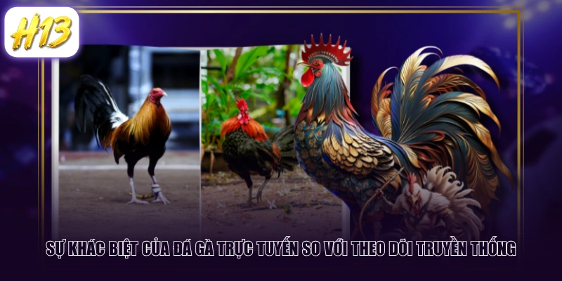 Sự khác biệt của đá gà trực tuyến so với theo dõi truyền thống
